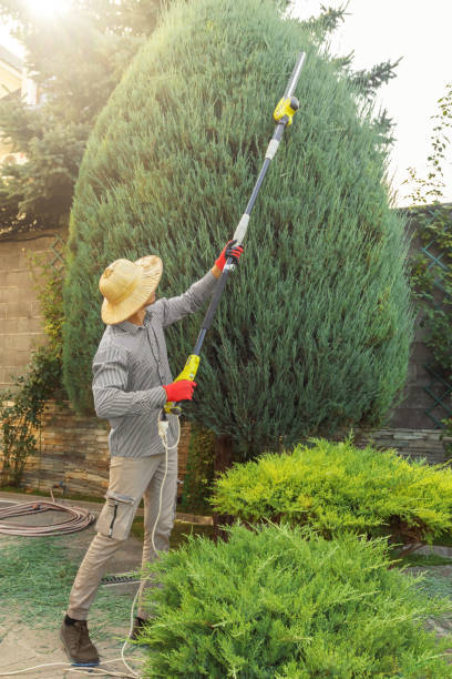 Best Lawn Grading and Leveling  in Westmoreland, TN